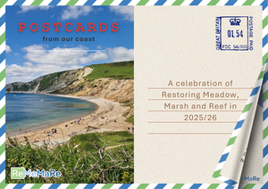 ReMeMaRe Postcards from our coast 25-26
